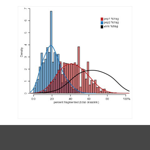 Improved cross-linking analysis software in Protein Prospector, by using information about the least confident peptide identification, is able to produce more reliable results.